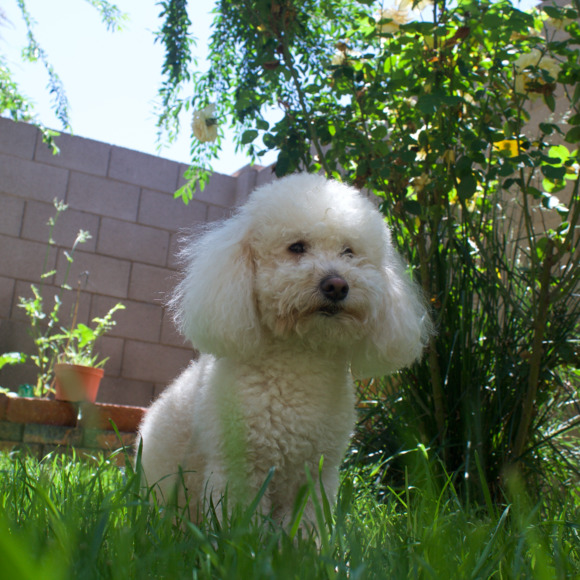 sunnysell